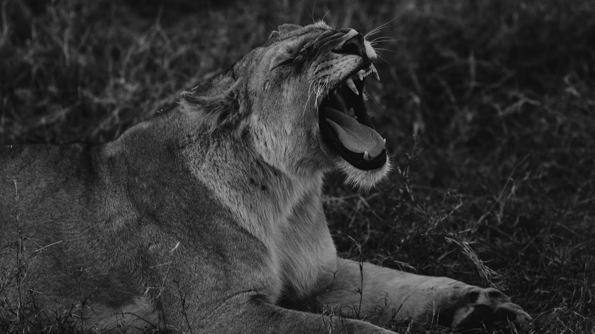 Benjamin Franklins thoughts about new designers